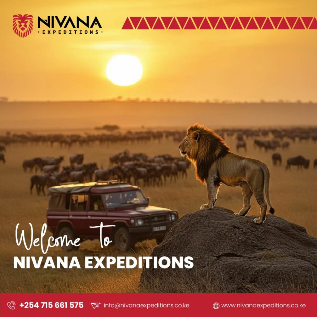 Nivana Expeditions Social Media
