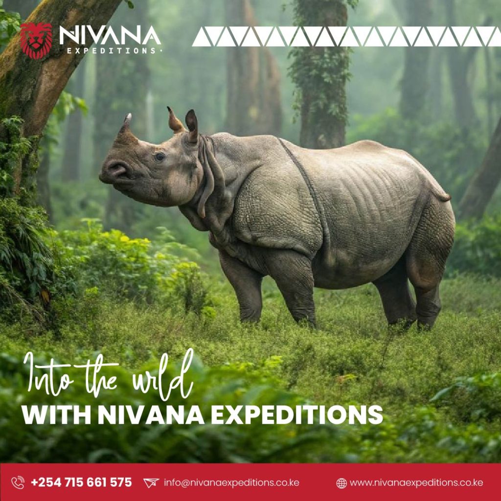 Nivana Expeditions Social Media