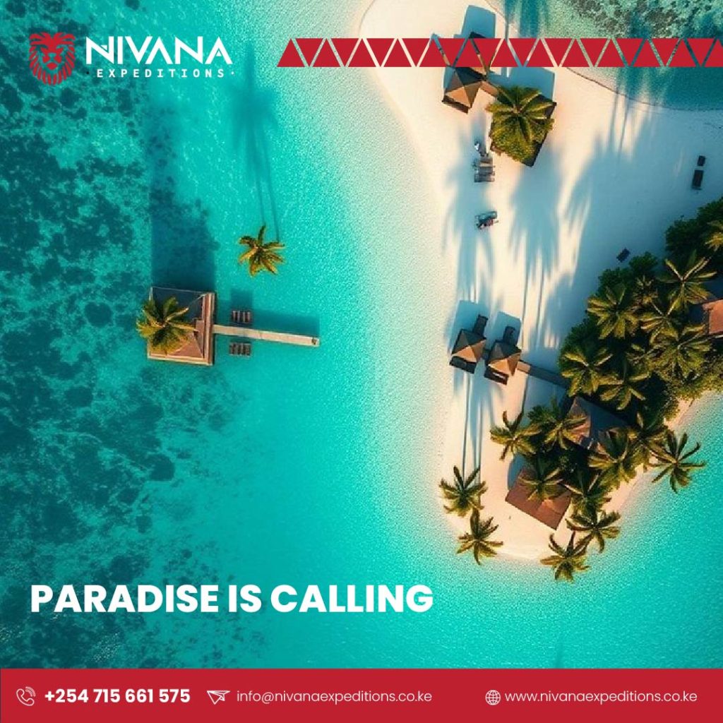 Nivana Expeditions Social Media