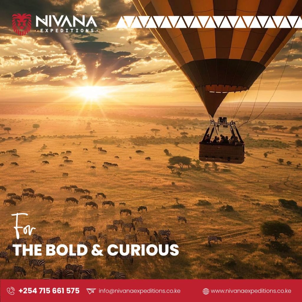 Nivana Expeditions Social Media