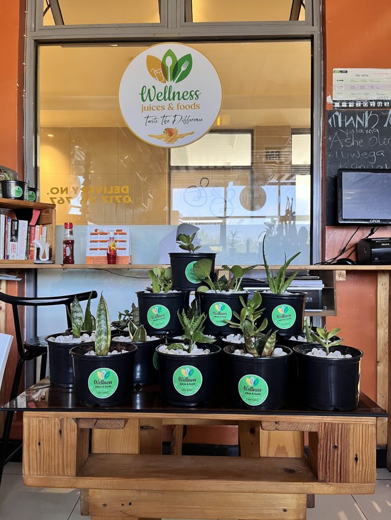 Welness Juices & Foods Packaging Works